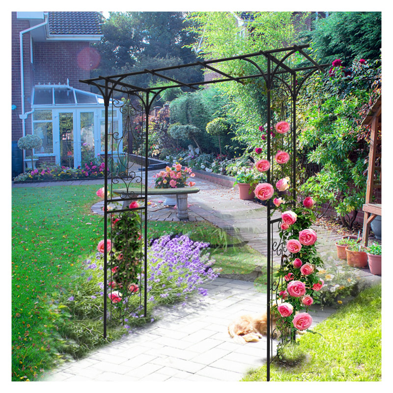 Treillis de jardin en métal noir pour plantes grimpantes - Tonnelle rose résistante à la rouille avec volutes décoratives pour les allées extérieures