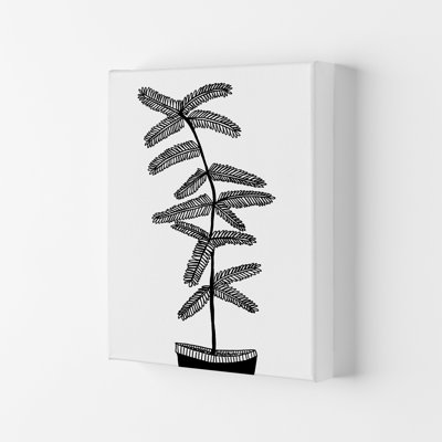 Mimosa 1 Piece Wrapped Canvas Wall Art