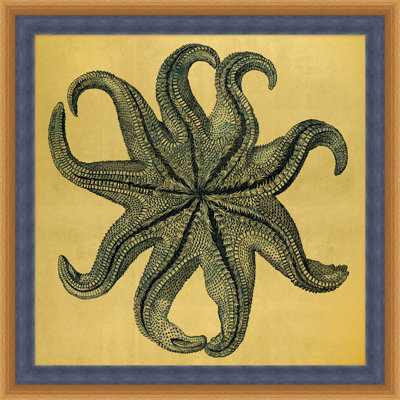 Gold Leaf Starfish 3 Print