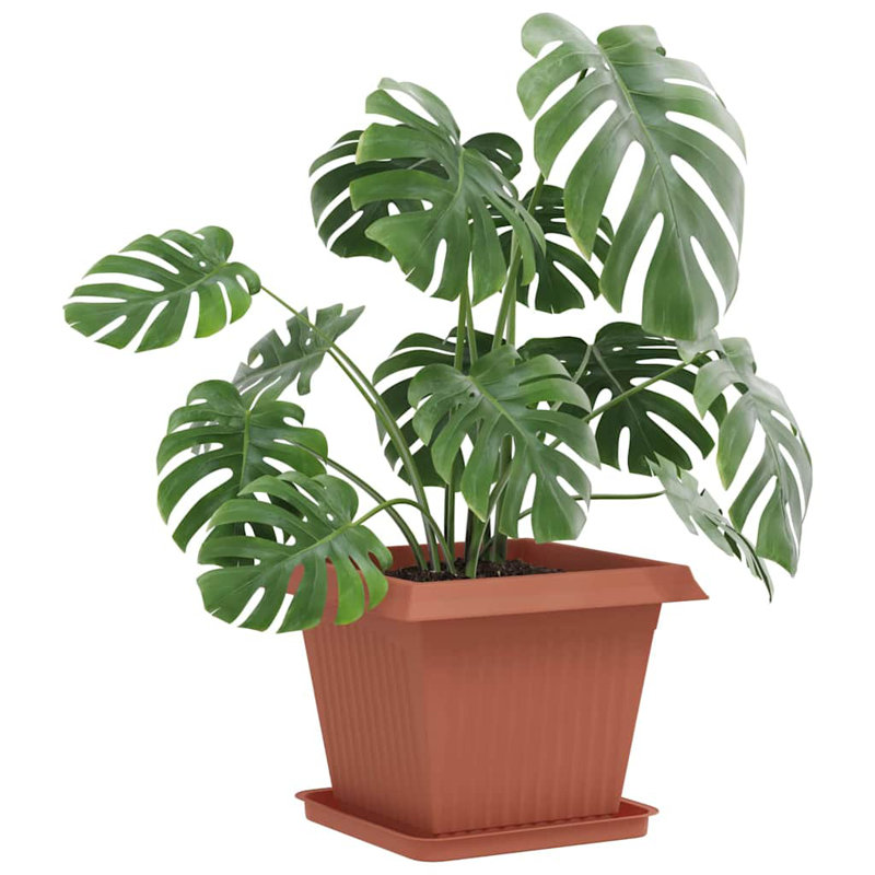 Plant Stand, 2.5cm H x 36cm W x 36cm D, Brick Red