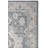 Aaylie Performance Oriental Rug-1850778855