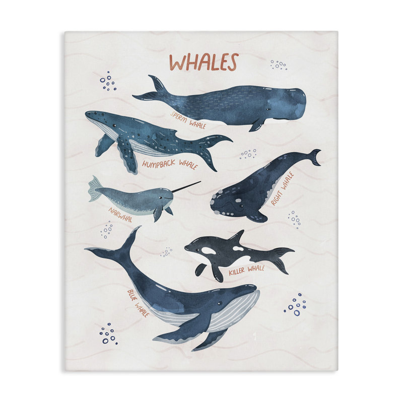 "Whales of the World", art mural sur toile par Nina Blue, H 30 po x l 24 po
