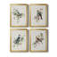 «Spring Song Blue Bird», ensemble de 4 peintures sur toile encadrées-2102496441-2102496438