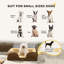 Polyester Pet Bed-101277148-101277149