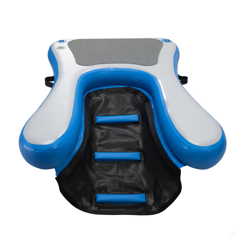 Échelle de rampe gonflable pour chien