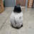 Baby Penguin Statue