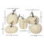 Full Moon Pumpkin Collection, Set Of 5