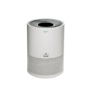 Light Air Ionflow Signature Air Purifier: Breathe Pure with Cutting-Edge Technology