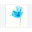« expressif fleuris v », impression sur toile-72782451-72782446-29090354