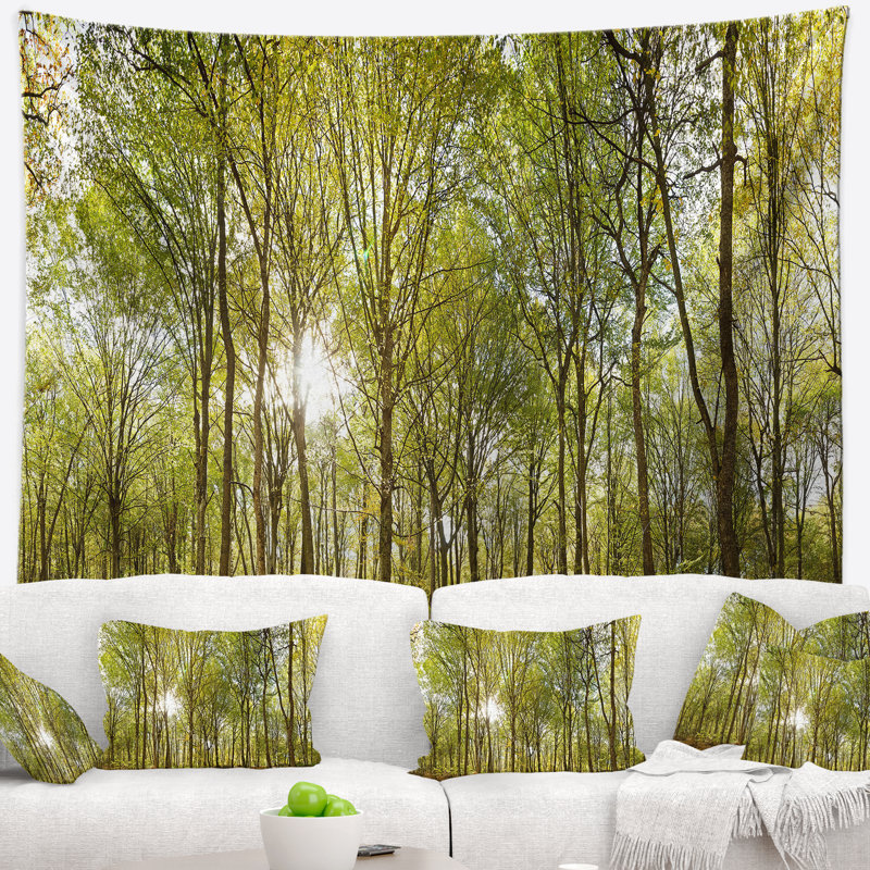 Photographie de paysage, forêt verte, vue panoramique, tapisserie, H 32 po x l 39 po