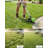 20V Cordless String Trimmer with 2 x 2.0Ah Batteries & Charger, 12" Electric Grass Trimmer, 8 String Strimmer Lines, Battery Powered Weed Wacker for Lawn and Yard Care-124362387