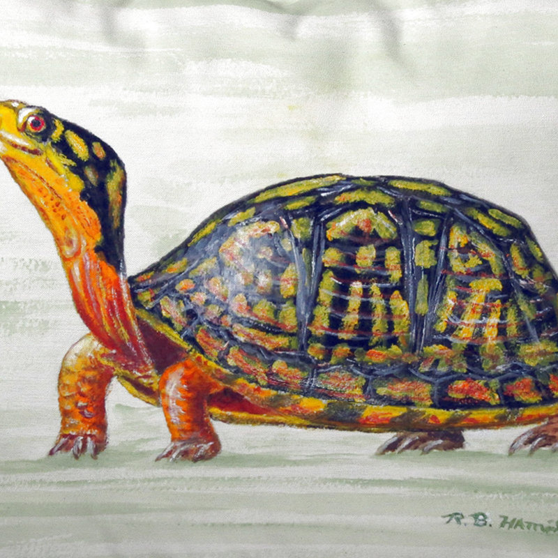 Housse de coussin rectangulaire et insert Happy Turtle, Petit
