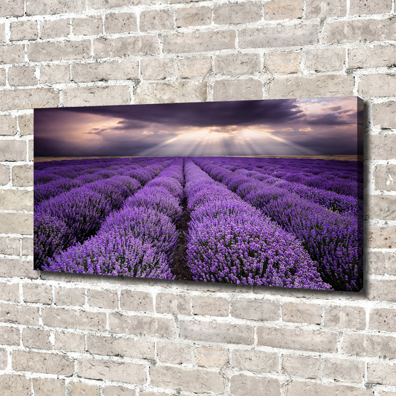 Lavender Field - Wrapped Canvas Print