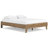 Alli Platform Bed, Modern Wood, Low Profile-123383399-107717778