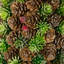 Mini Pinecone And Frosted Wild Berries Christmas Cone Tree - 15"
