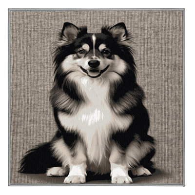  Tapis lavable finlandais Lapphund Dogs