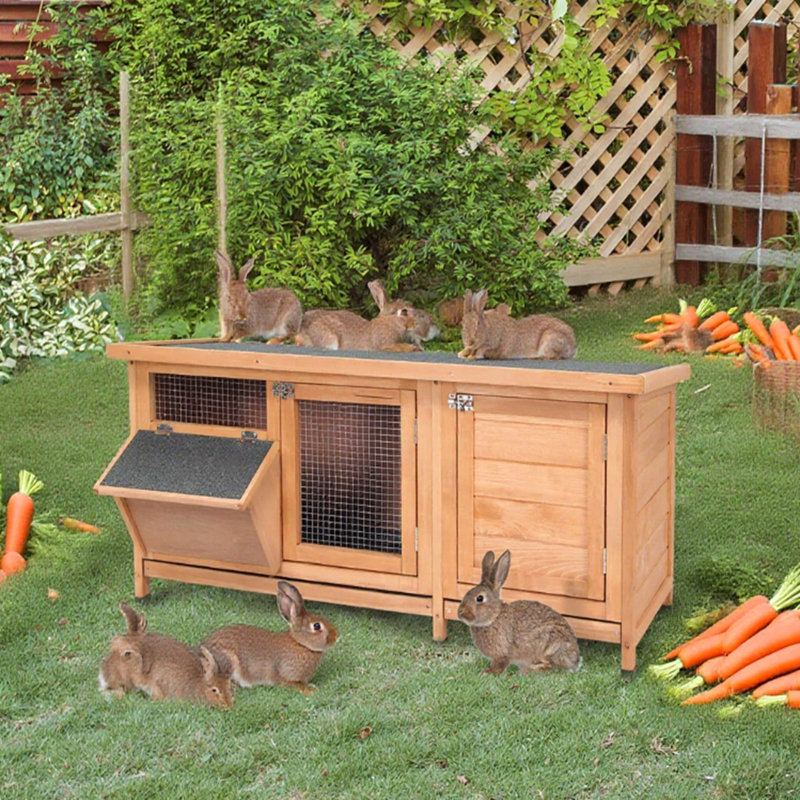 Cage à lapin