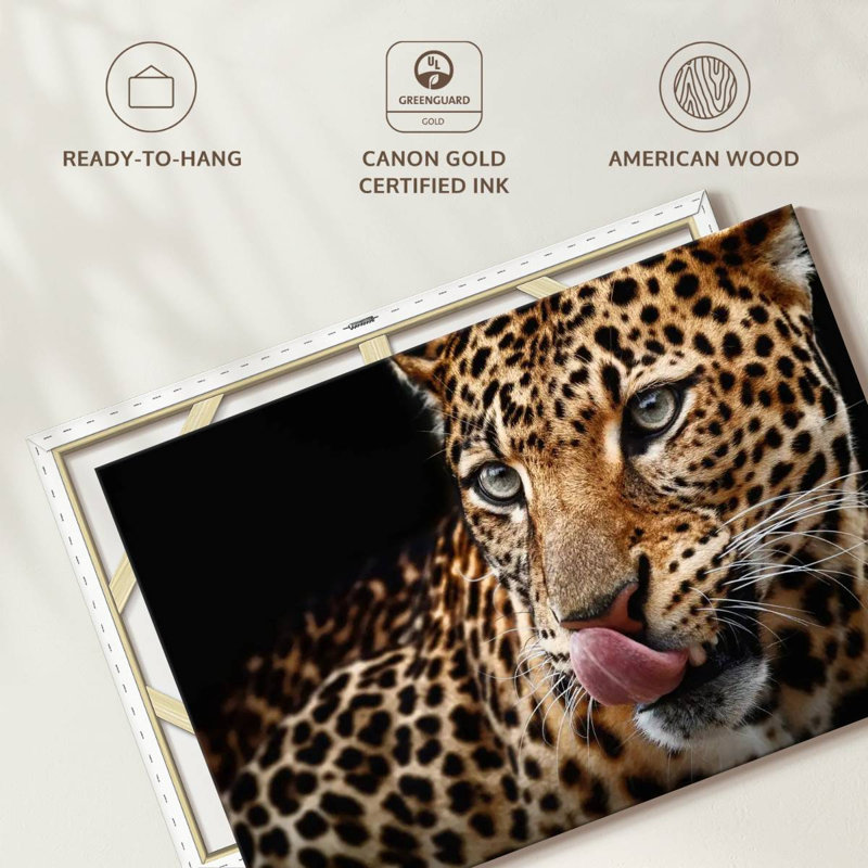 Brampt Licking Leopard, 34" H x 51" W