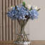 Anastasija Arrangement
