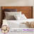 Mid Century Solid Wood Platform Full Bed Frame With Wood Slat Support, Brown-645595765-645595762