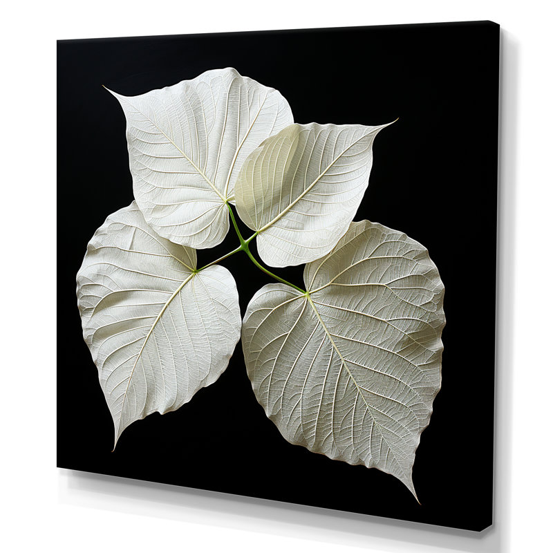 Impression sur toile noir et blanc sur verre I, H 16 po x l 16 po x P 1 po, Toile tendue