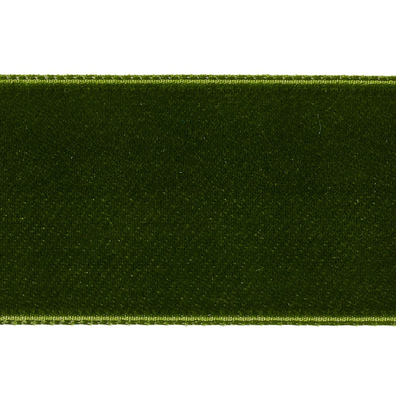 Bande de velours large, Mousse