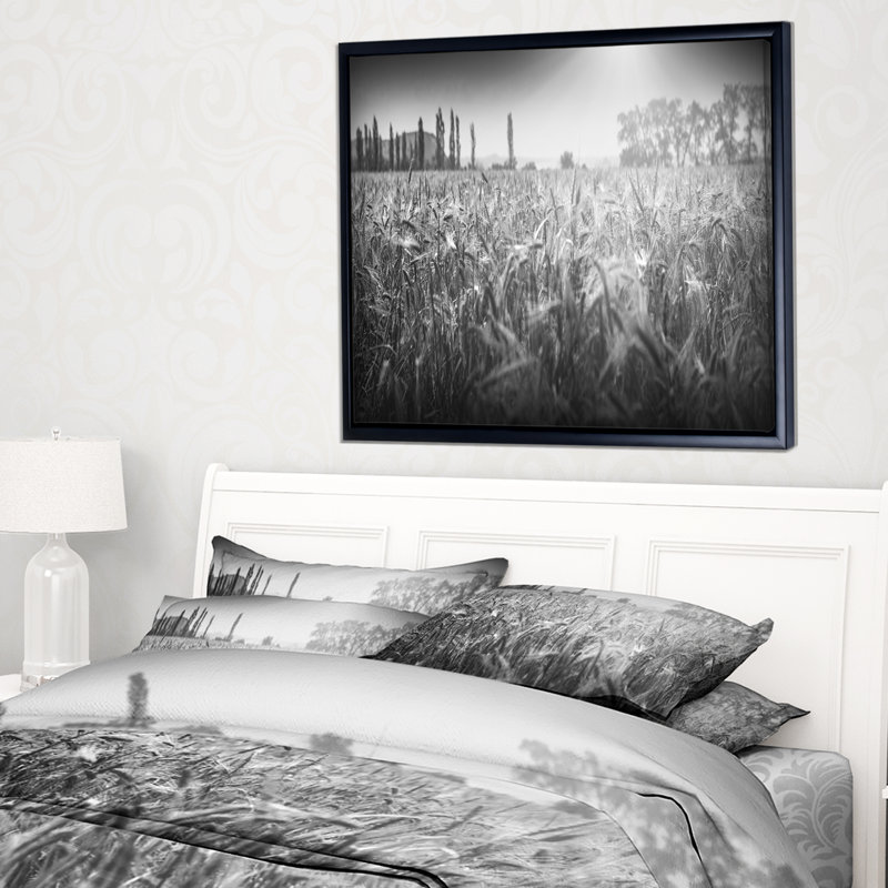 Noir et blanc blé, reproduction de photo sur toile tendue, H 14 po x l 22 po x P 1 po, Cadre flottant noir