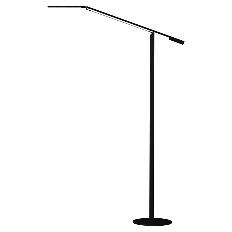 Equo 44.75'' Dimmable Floor Lamp, Black, Cool