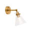 Steel Armed Sconce