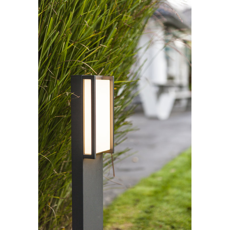 Caton 1-Light Drum Pendant