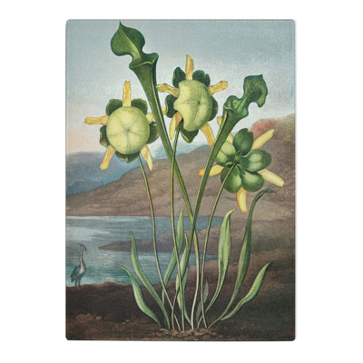 Tempered Glass Pitcher Plant by R.J. Thornton Chopping Board