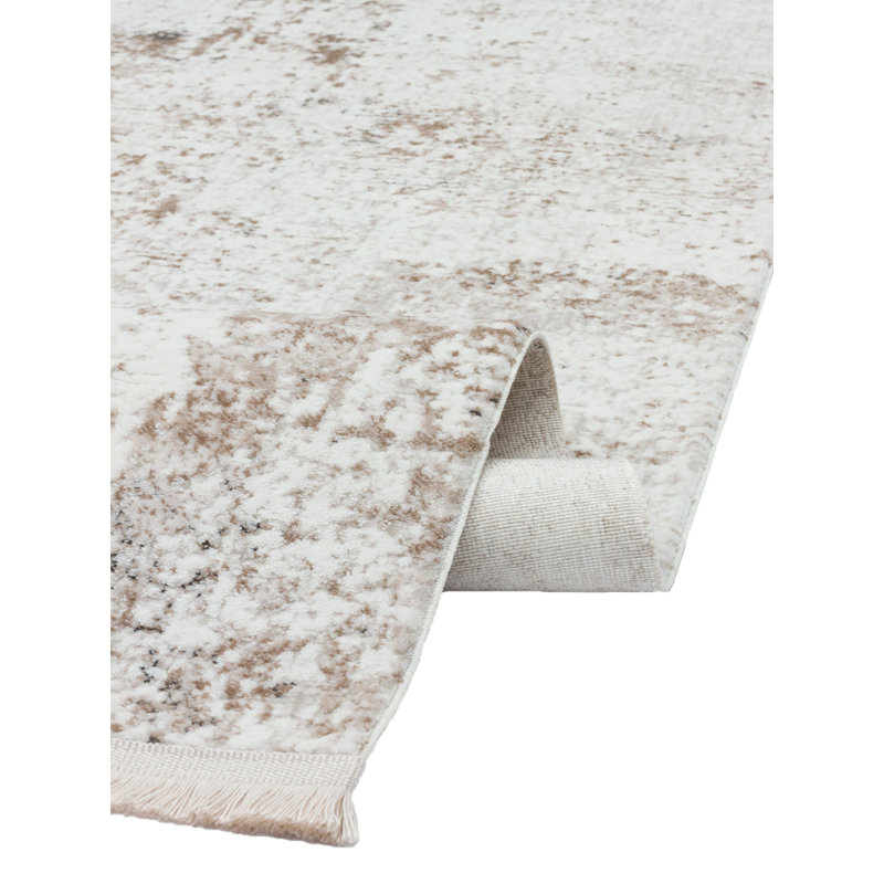 Rasu Rectangle Abstract Indoor / Outdoor Area Rug, Rectangle 2'7" x 4'11"