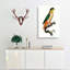 Black-Headed Parrot by F. Levaillant - Wrapped Canvas-55370931