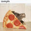 Lit pour chat Novelty