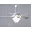 Ventilateur de plafond standard à DEL à 5 pales de 42 po avec chaînette et ensemble d'éclairage inclus Ragnar-27773218