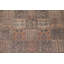 Tapis Garden Design 7 x 10