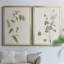 Toile encadrée de qualité supérieure Wispy Botanical I - prête à être accrochée-1622420742-1622420794