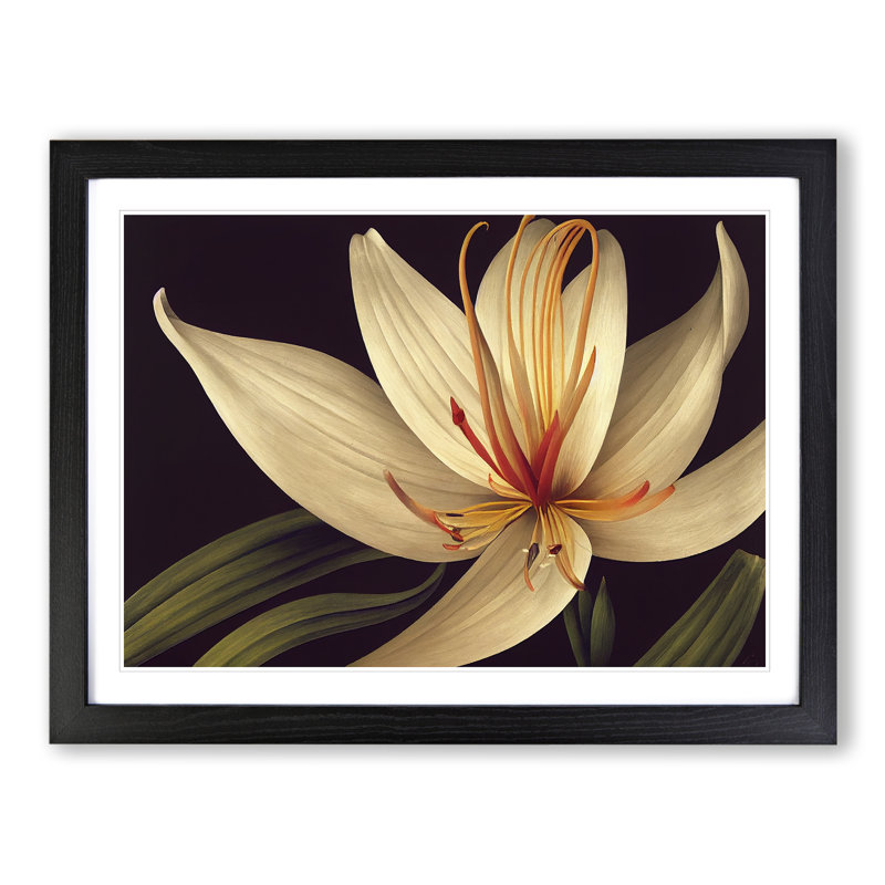 Classic Lily Flower - Framed Print, Black, 34cm H x 46cm W x 2cm D