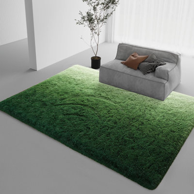 Ombre Shag Area Rug