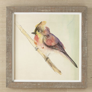 Petite Bird Framed Print Collection