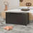 Accent Cabinet-107418422