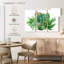 Plantes grasses Harnek-107980684