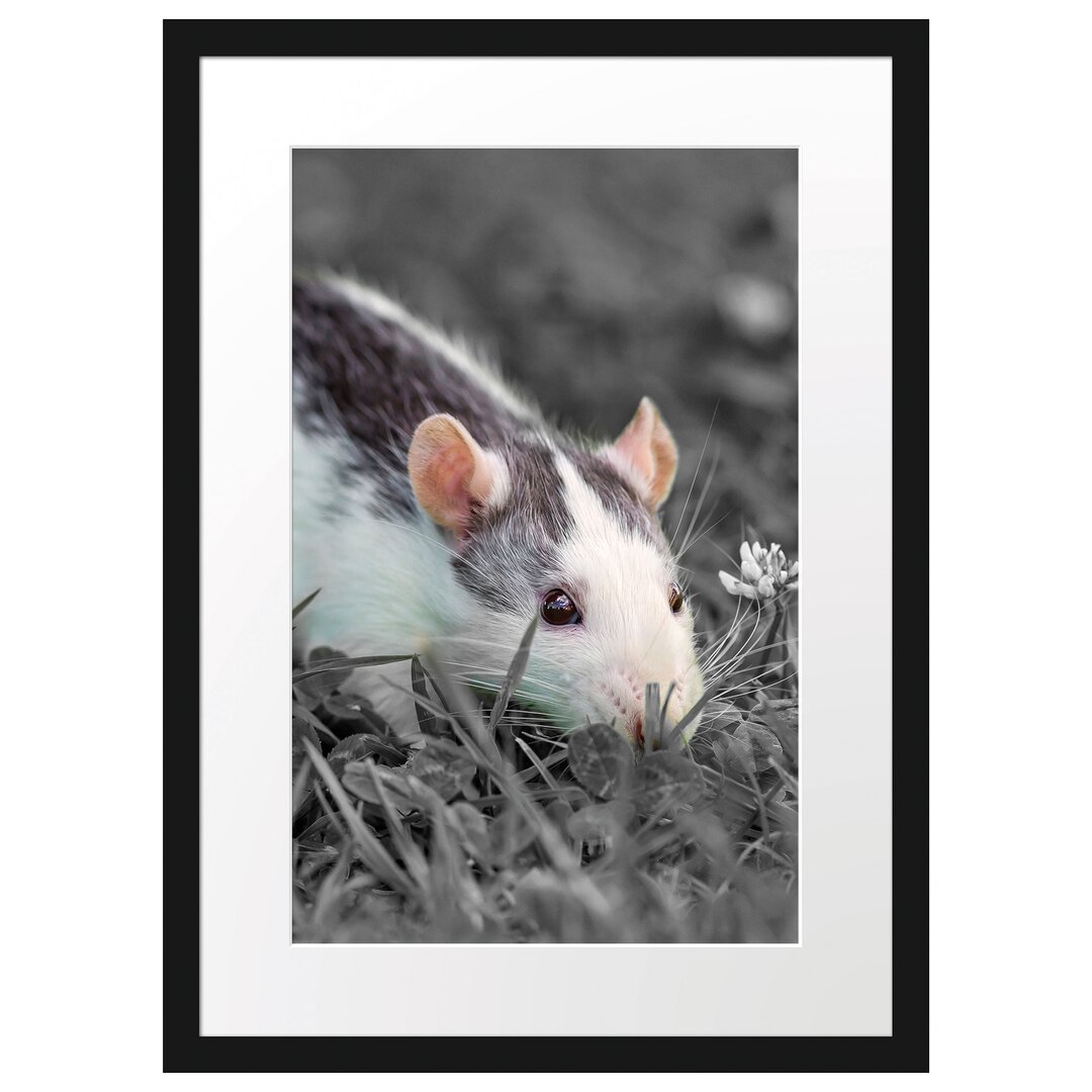 Gerahmtes Poster Kleine Maus auf Blumenwiese