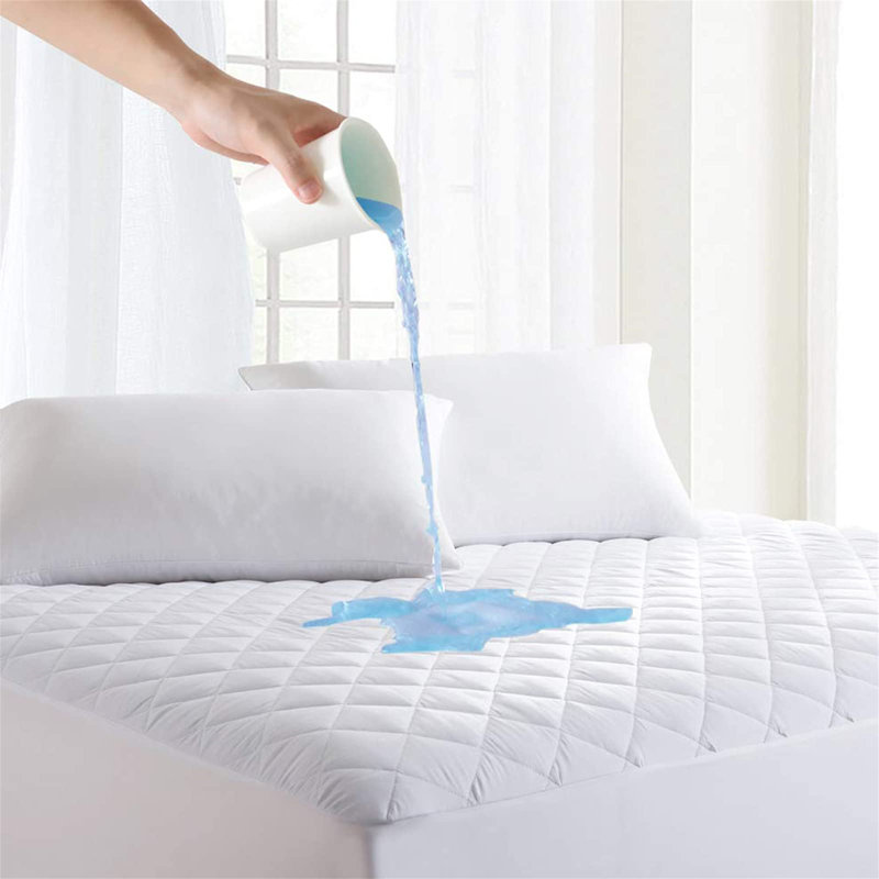 Olavarria Mattress Protector Case Pack