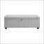Banc rembourré contemporain avec rangement interne 1pc-2067986776