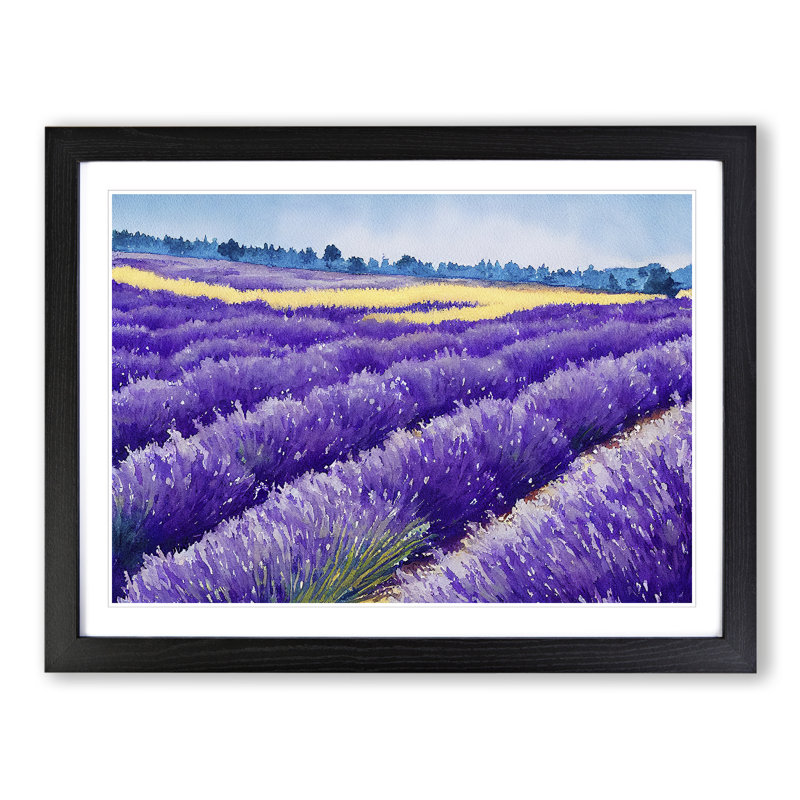 Lavender Field Watercolour Vol.3 - Single Picture Frame Painting, Black Framed, 46cm H x 64cm W x 2cm D