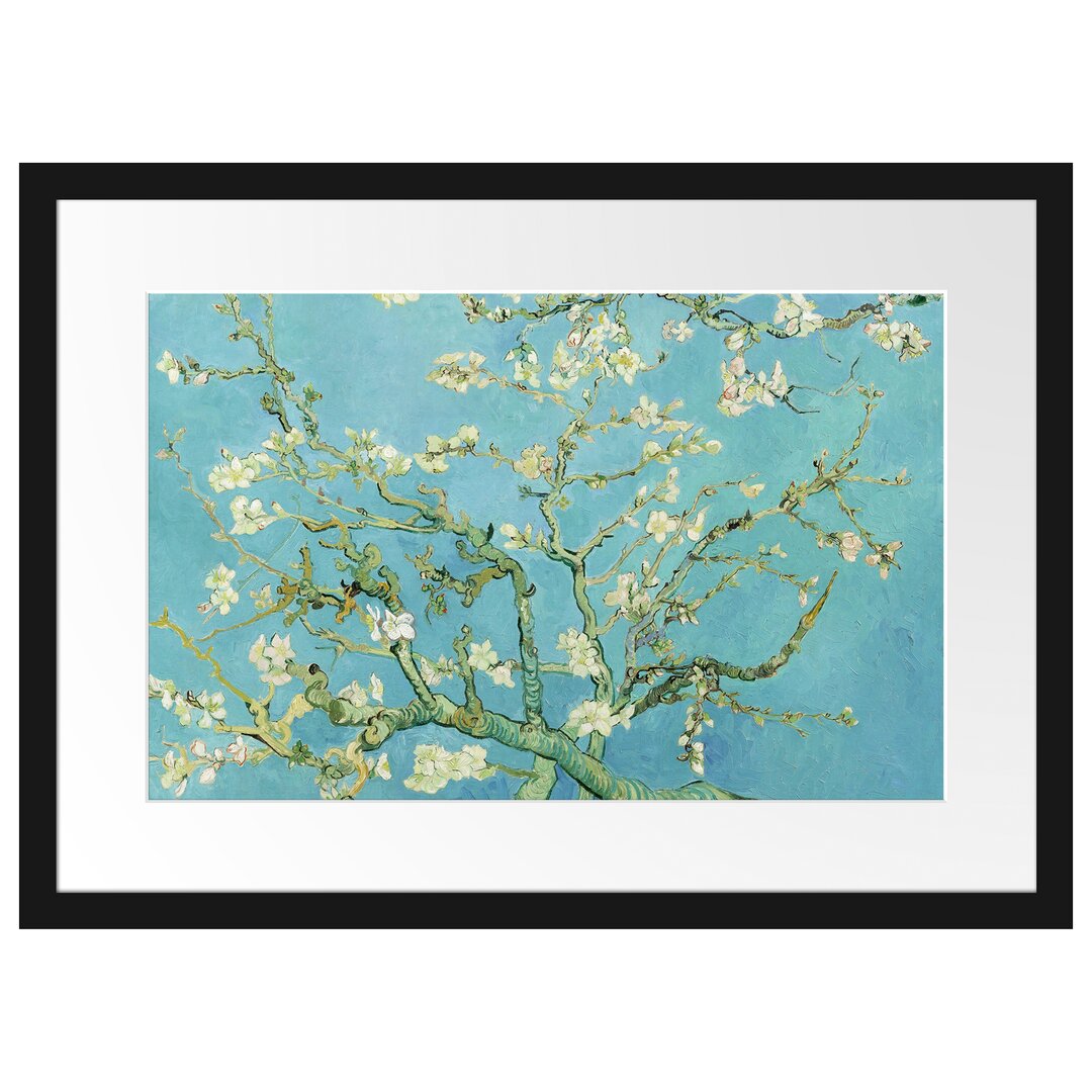 Gerahmter Kunstdruck Almond Tree Branches von Vincent Van Gogh