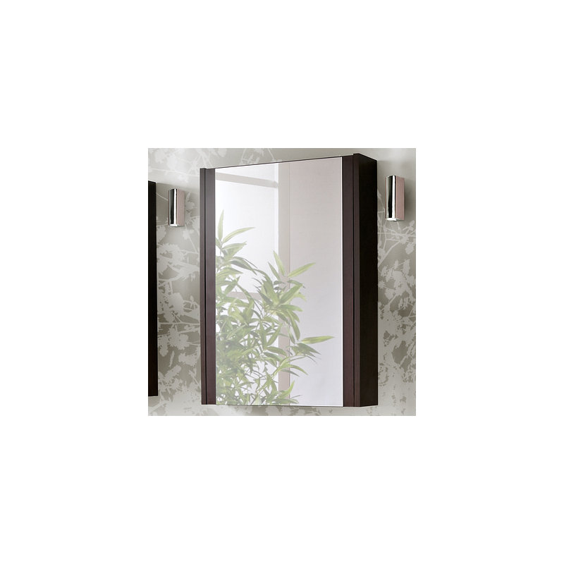 New York 50mm W 69mm H Surface Medicine Cabinet Mirror, Wenge