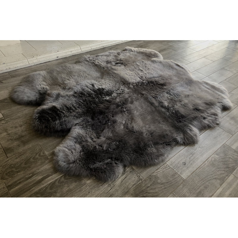 Tapis Novelty Borge, Nouveauté 5 pi x 5 pi 6 po