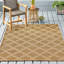 Tapis